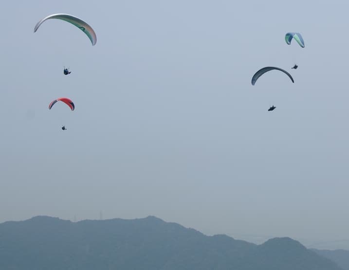 s-DSC_7251.jpg