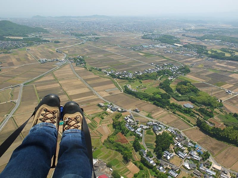 s-S0043898.jpg