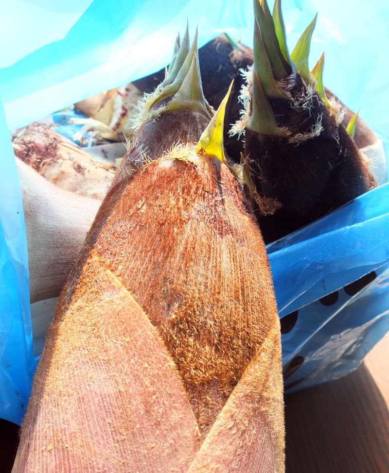 DSCF6864.jpg