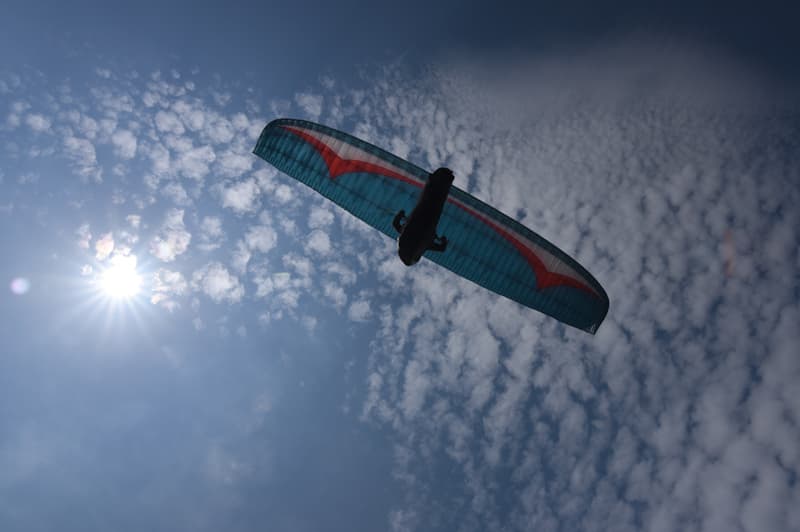 DSC_1384.jpg