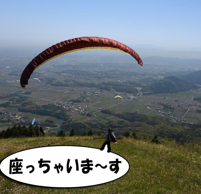 DSC_9529.jpg