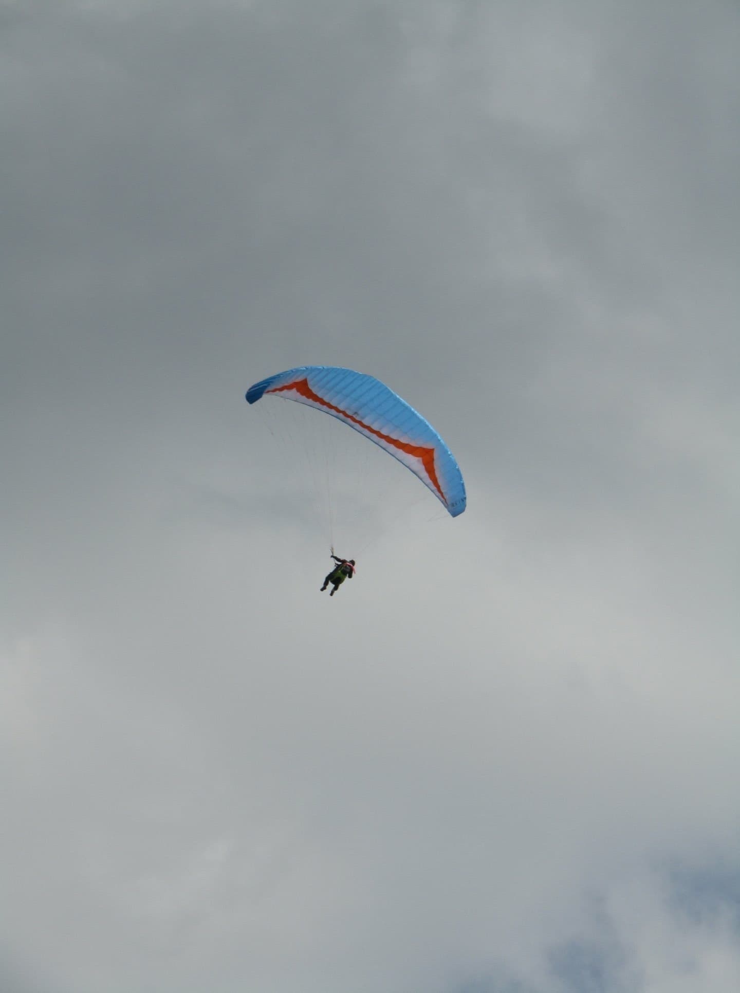 IMG_4125.jpg