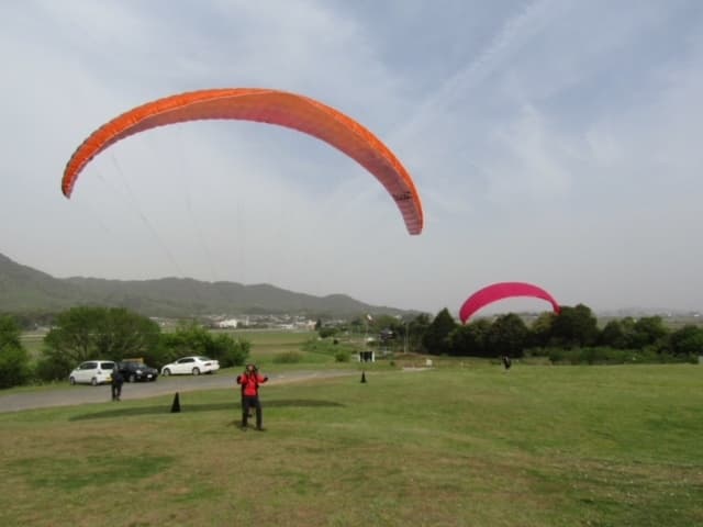 IMG_4213.jpg