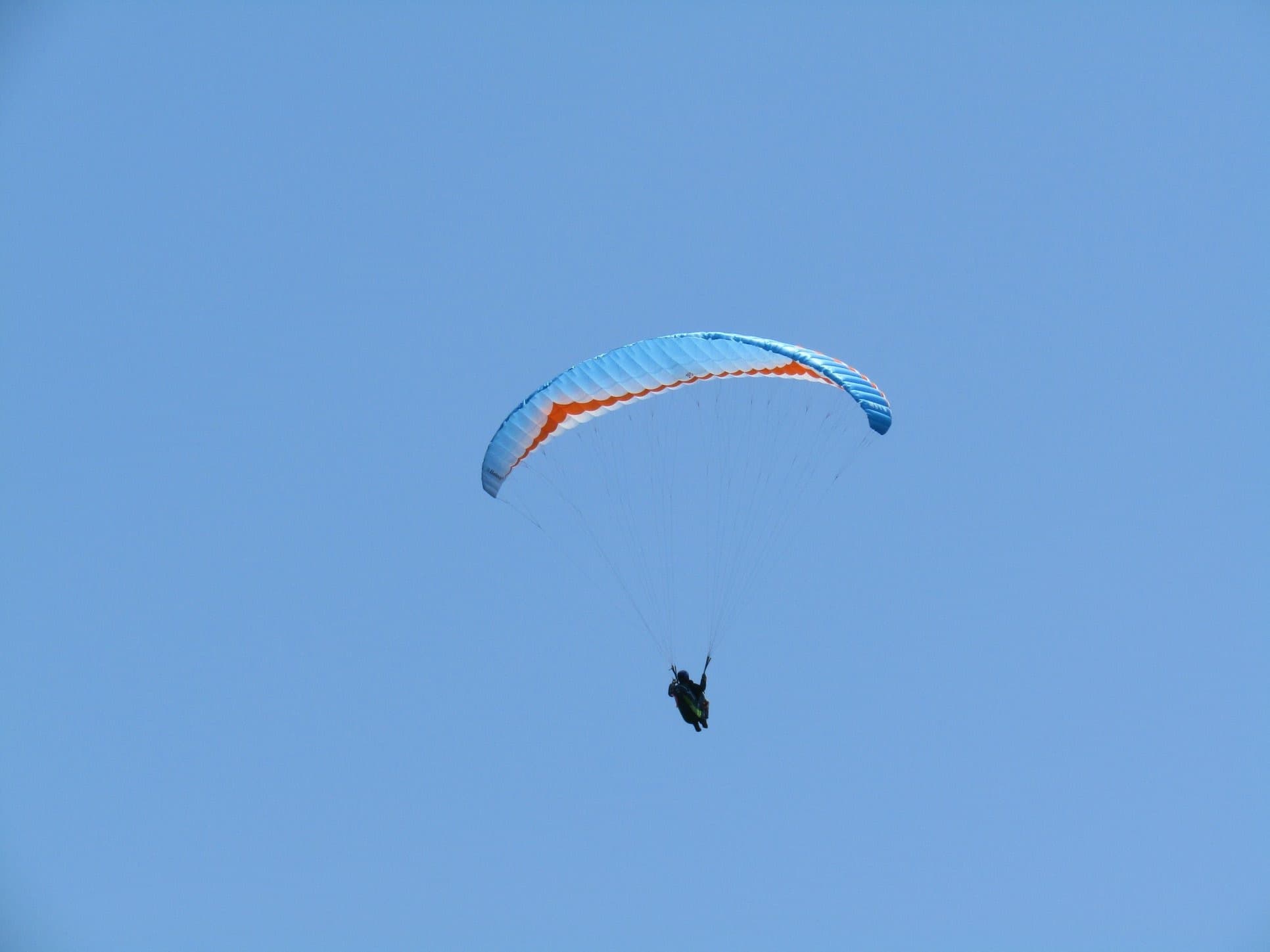 IMG_4512.jpg