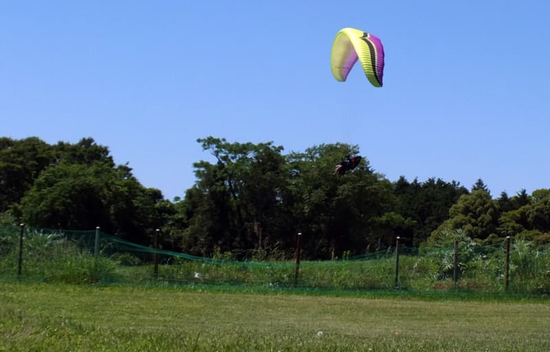 S0056973.jpg