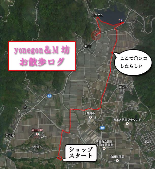 20150118.jpg