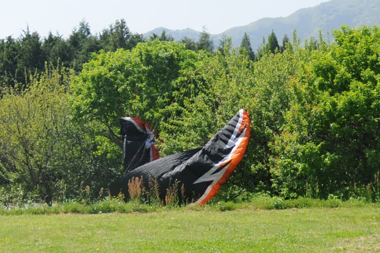 DSC_0240.jpg