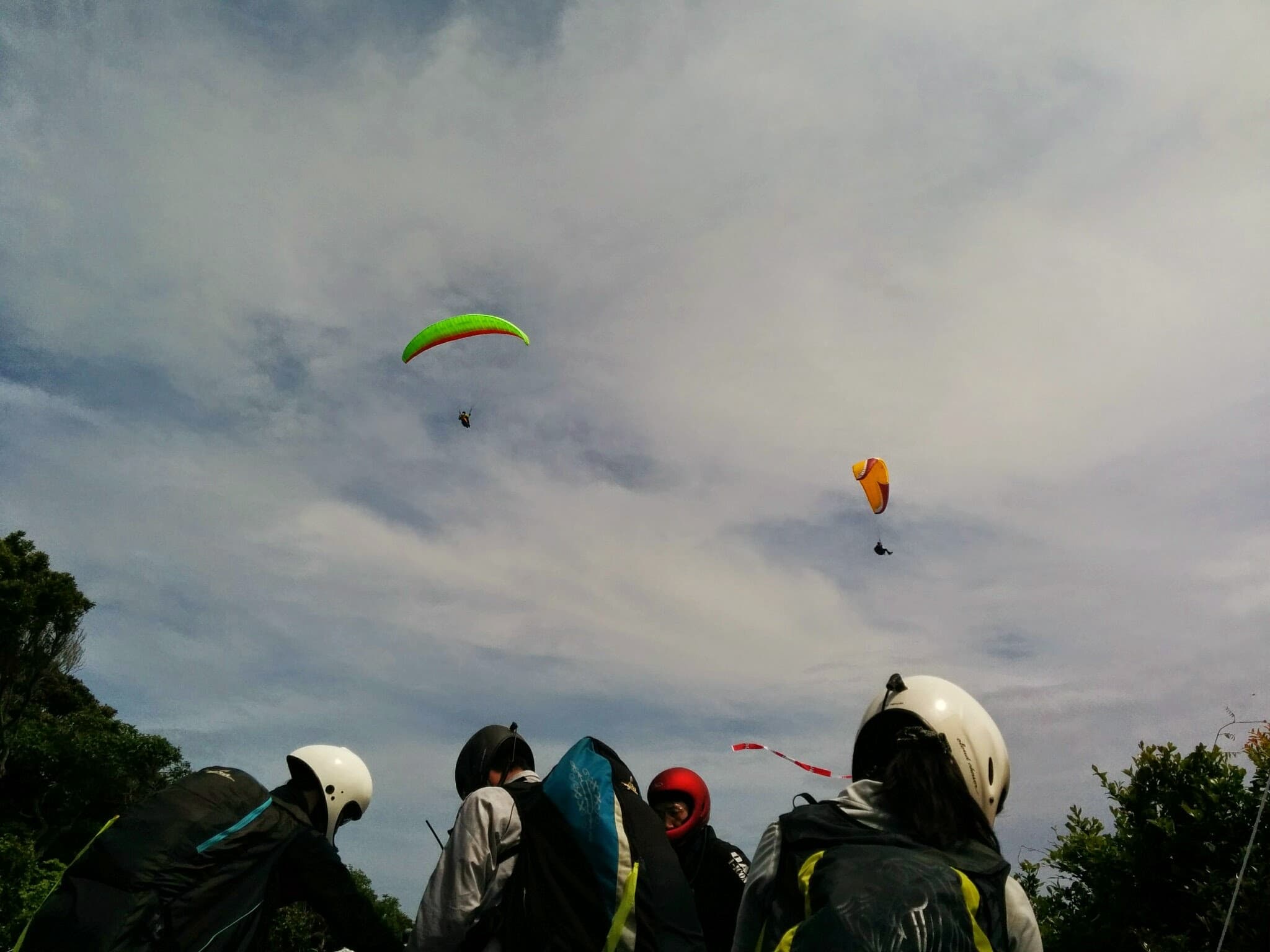 IMG_20150503_132555.jpg