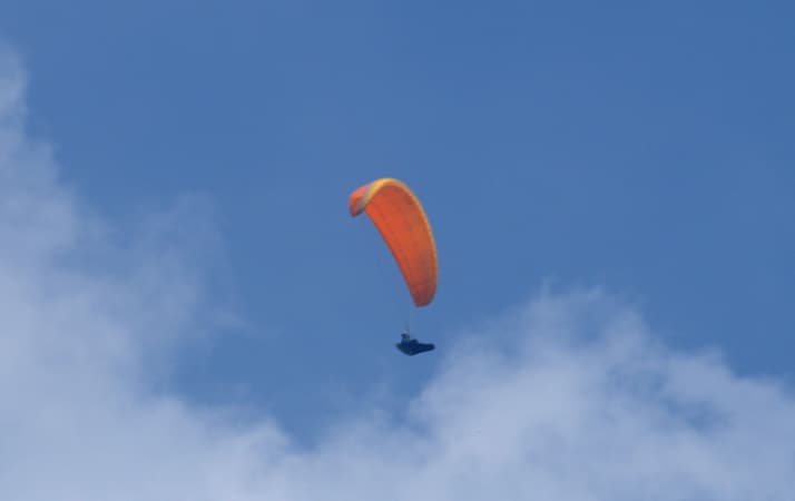 DSC_1662.jpg