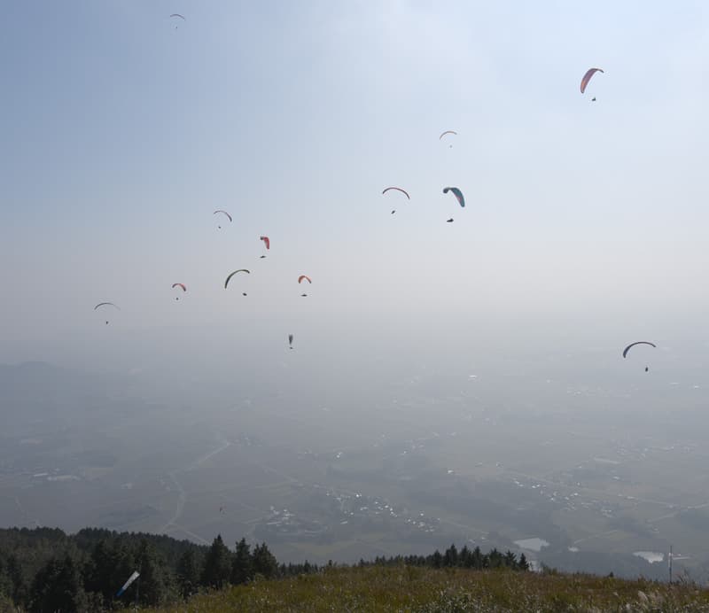 DSC_2091.jpg