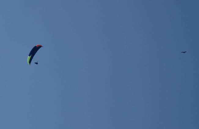 DSC_6922.jpg