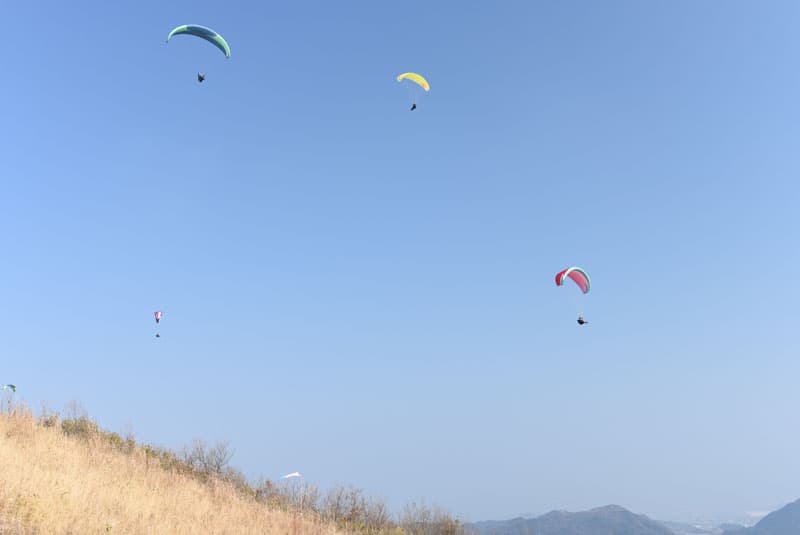 DSC_2875.jpg