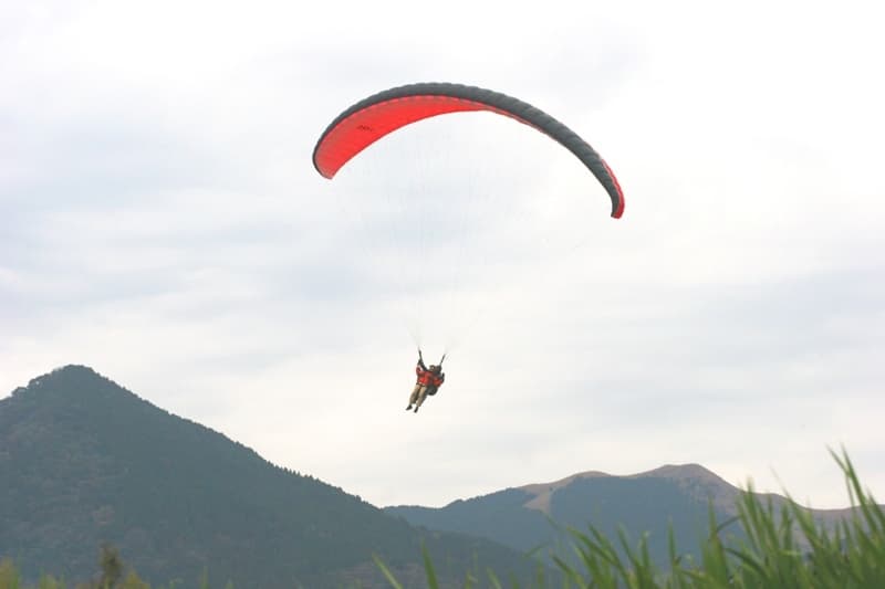 IMG_6697.jpg
