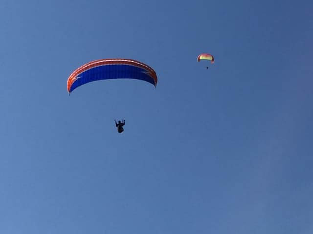 IMG_4666.jpg