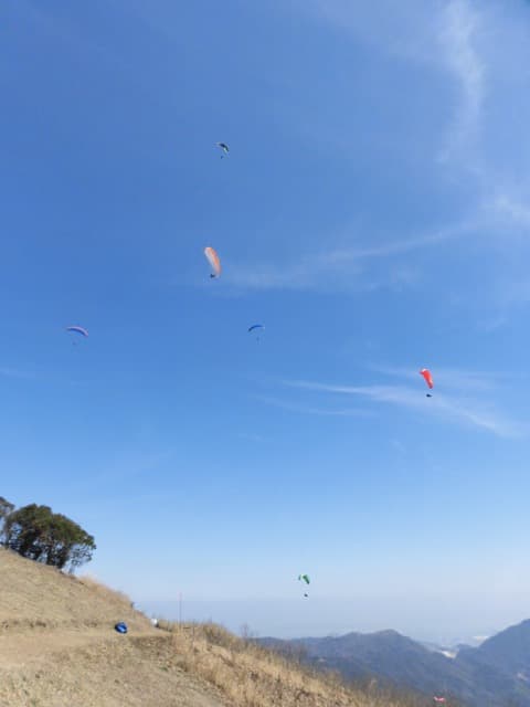 IMG_4721.jpg