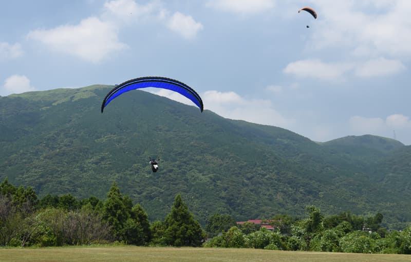 DSC_5177.jpg