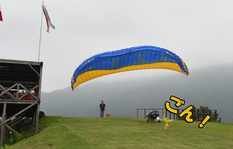 DSC_6799.jpg