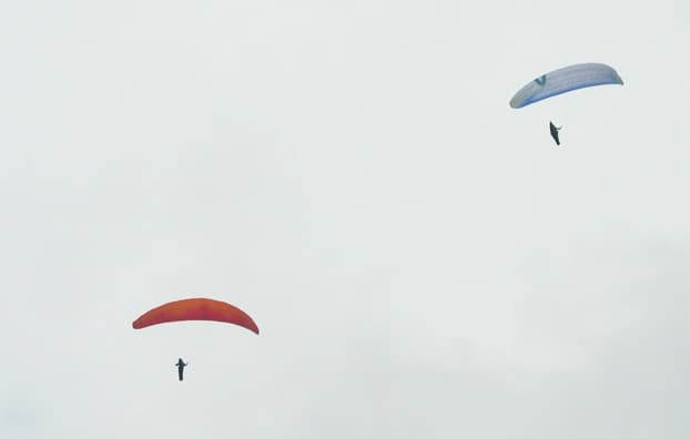 DSC_7766.jpg