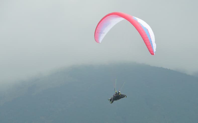 DSC_7823.jpg