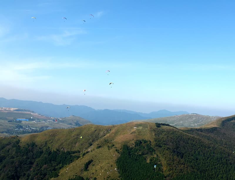 S0025845.jpg