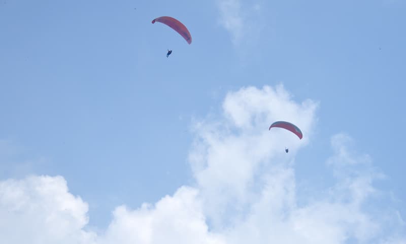 DSC_9844.jpg