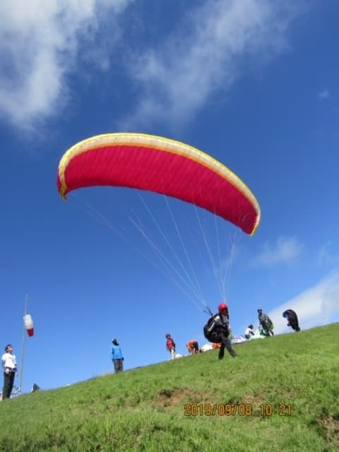 IMG_1522.jpg