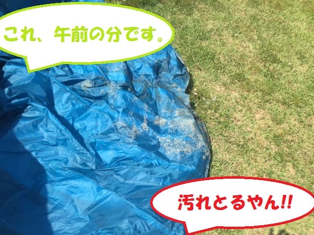 IMG_1810_20150522174254233.jpg