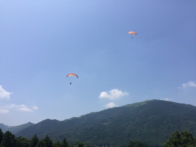 IMG_6910.jpg