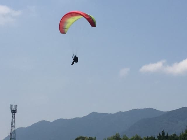IMG_6914.jpg