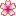 桜１